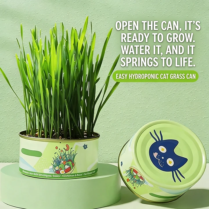 Easy Soil-Free Cat Grass Kit - Hairball Relief